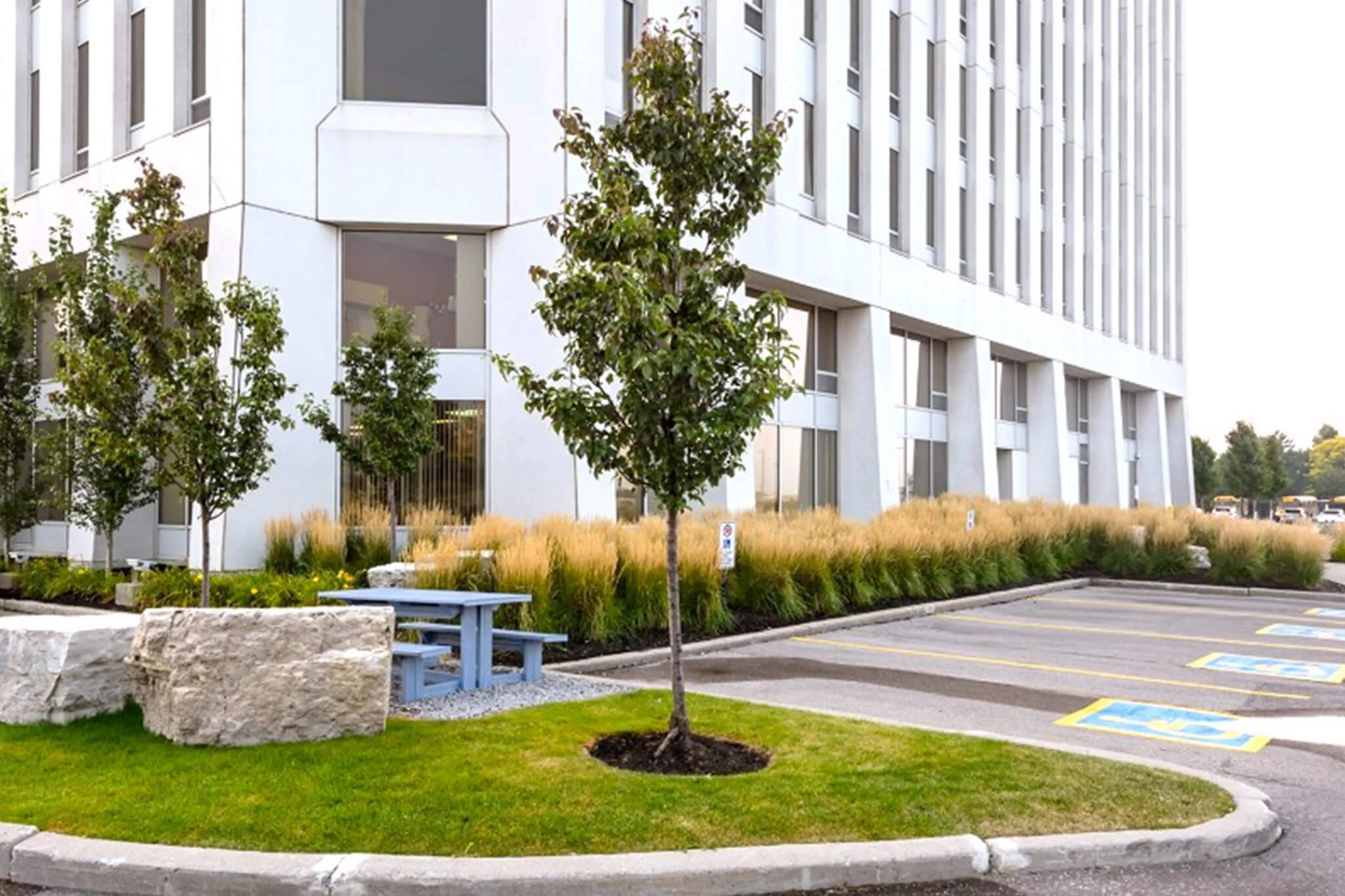 Modern office space of YuJa located in downtown Toronto, featuring sleek design and collaborative work areas.