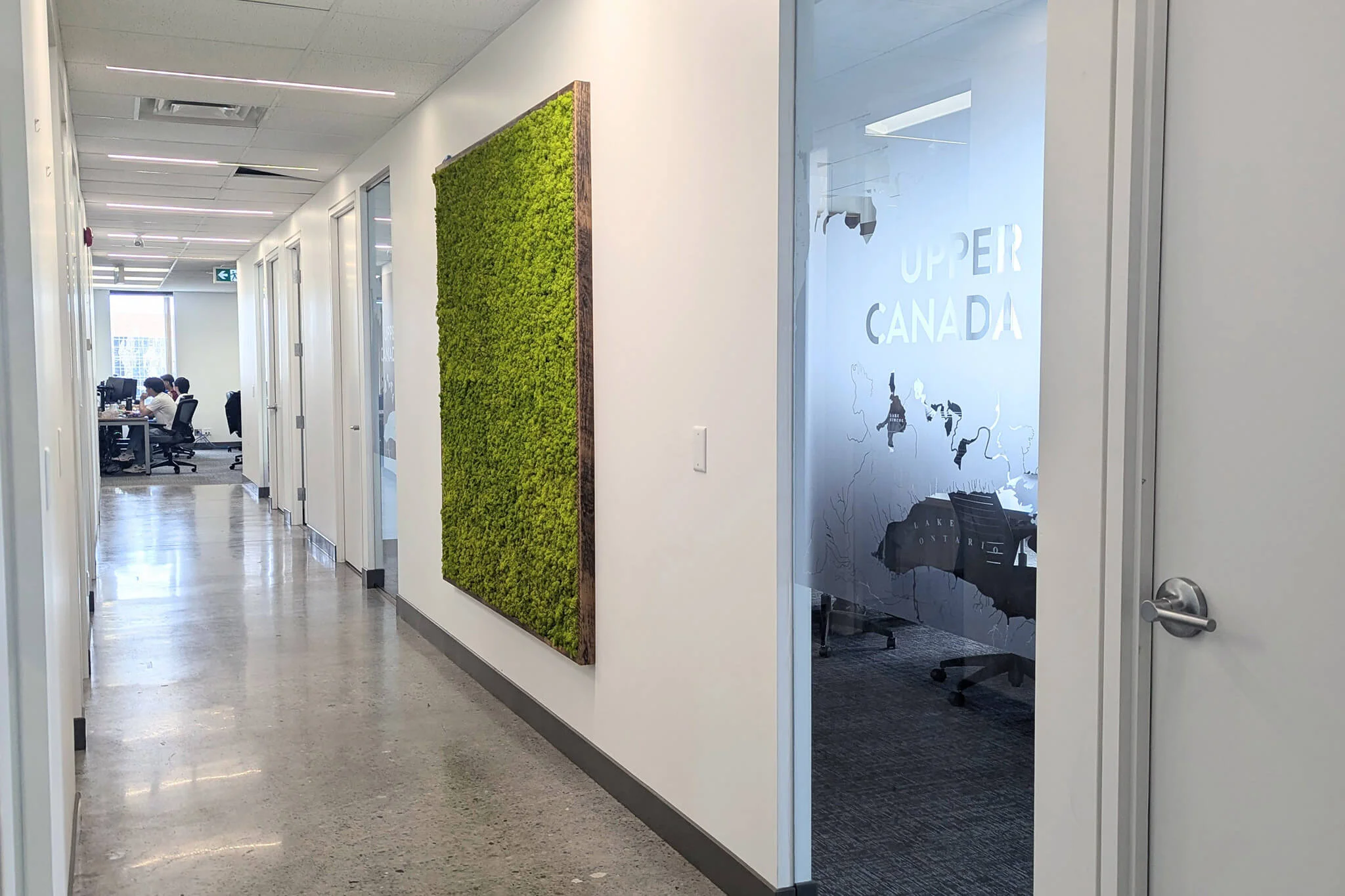 A hallway in YuJa's Office featuring a green wall creating a bright and inviting atmosphere.