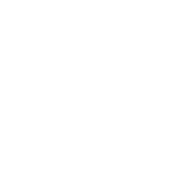THE SOUTH CAROLINA DEPARTMENT OF EDUCATION white logo