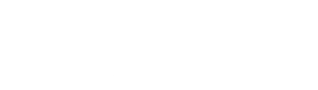 Brunswick Community College white logo