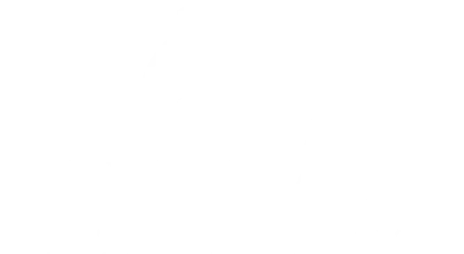 Fayetteville State University white logo