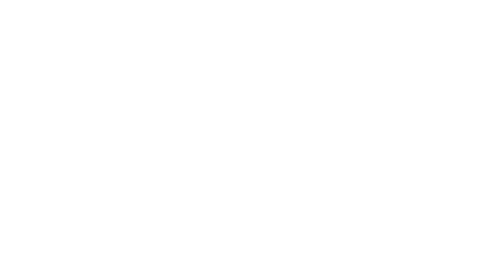 Sir Arthur Lewis Community College white logo