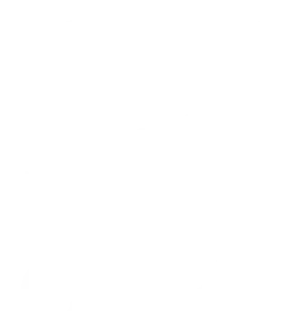 The Canada School of Public Service white logo