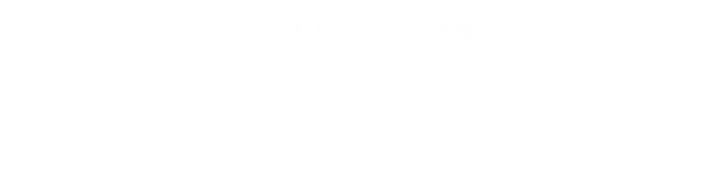The University of Birmingham white logo