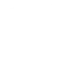 Western Nevada College white Logo